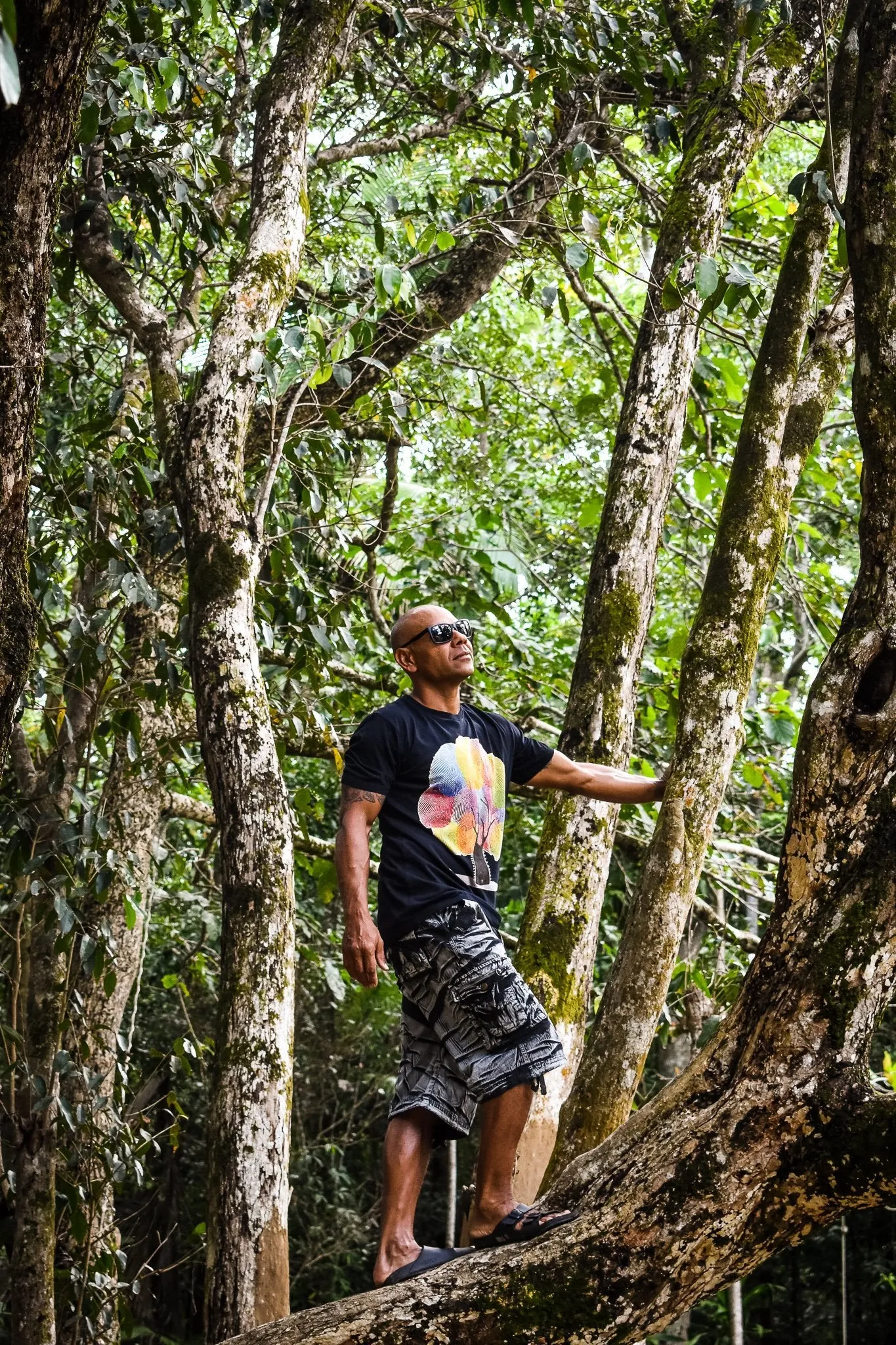 Alternate T Shirt - Rainbow Tree Black