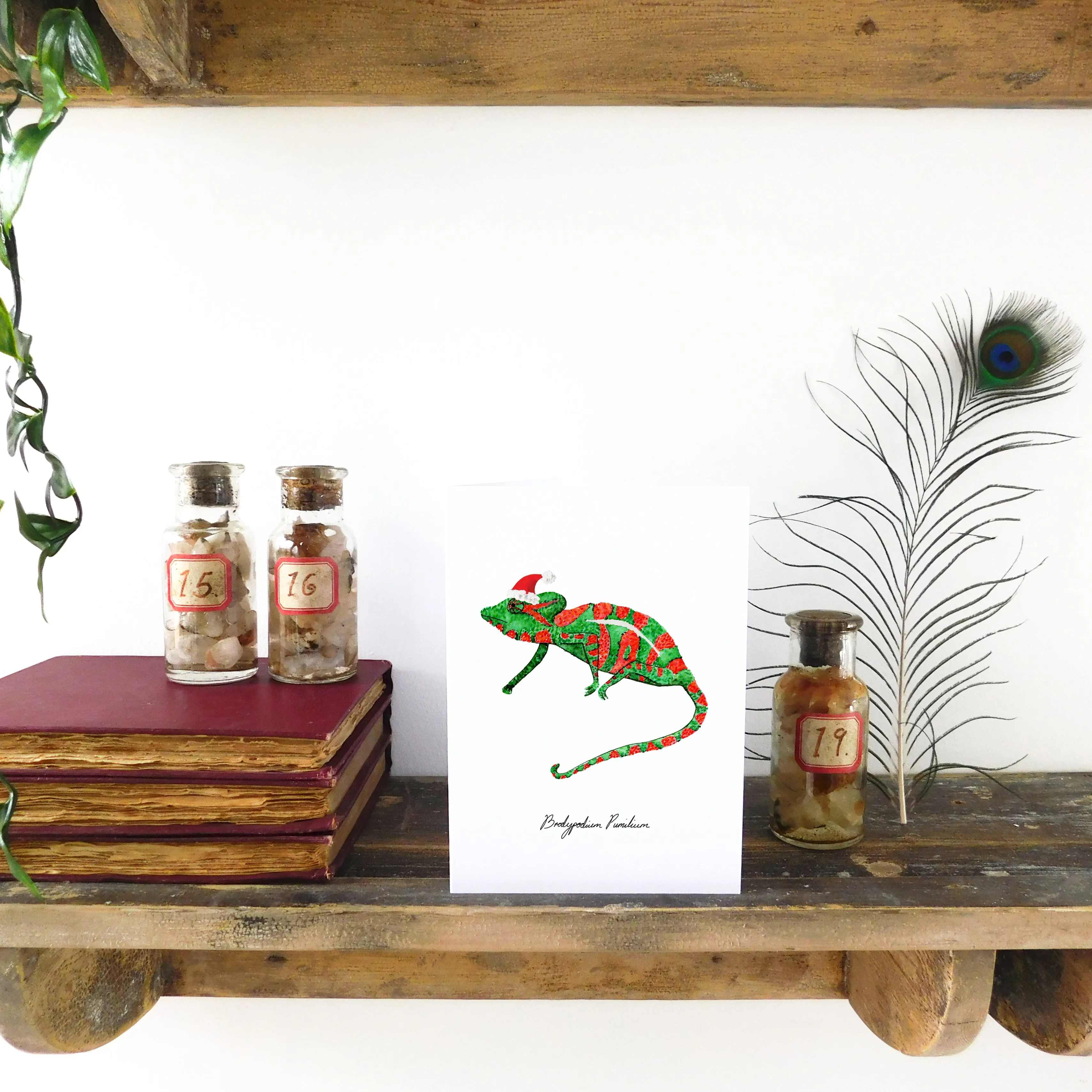 Camouflage Christmas Dwarf Chameleon Greetings Card