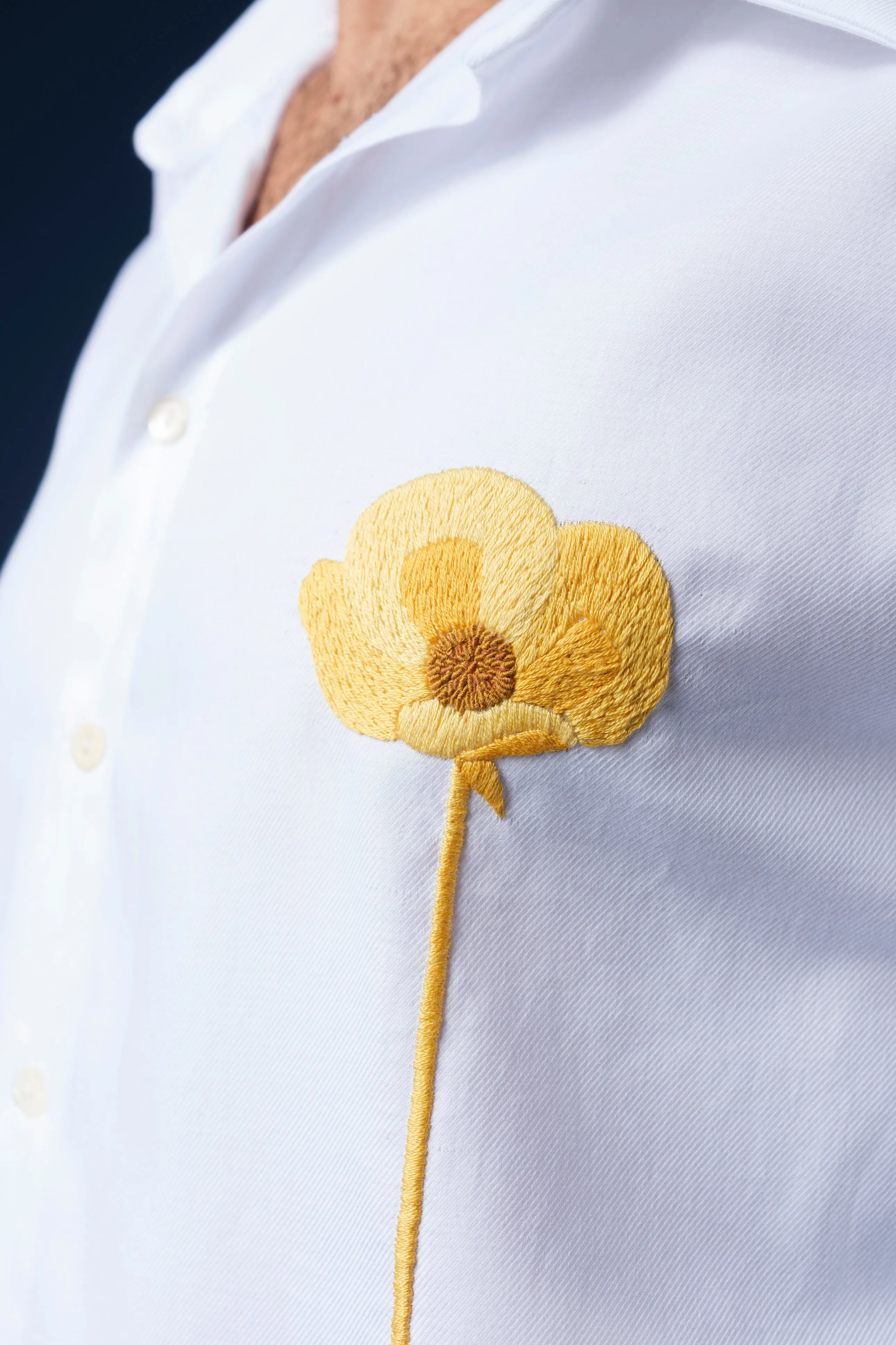 Yellow Poppy